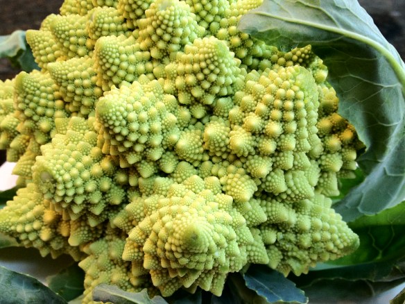 Romanesco