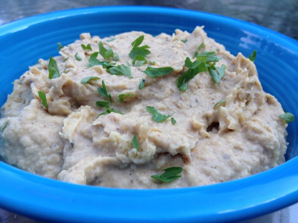 carmelizedonionhummus